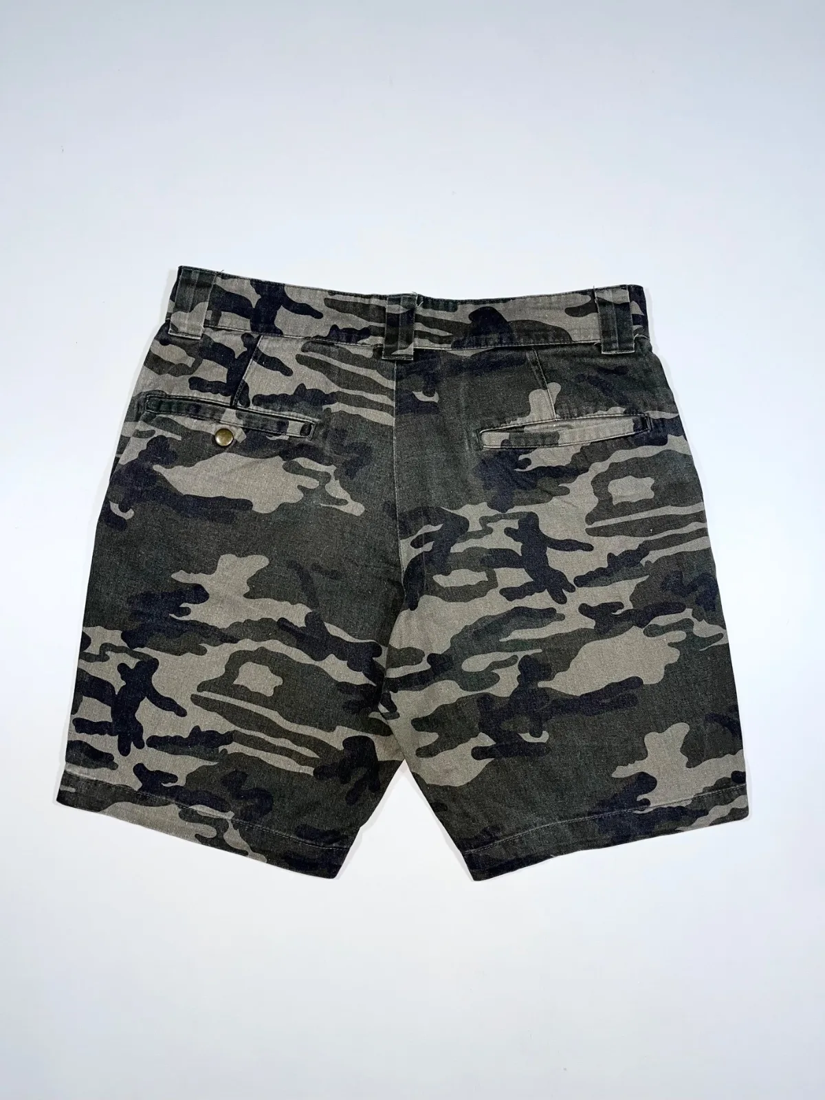 Dickies WIP Shorts — photo 5