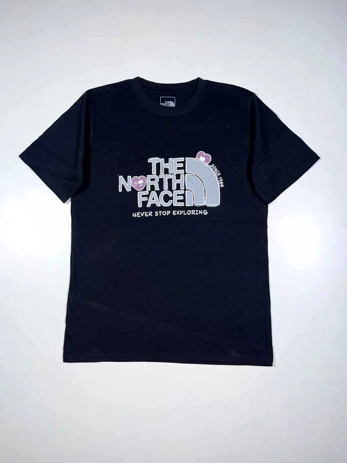 The North Face Vintage T-shirt